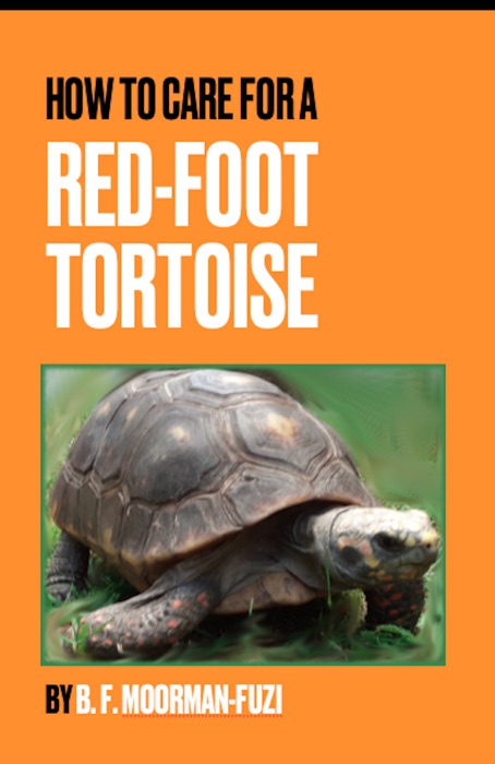 How To Care For A Red-foot Tortoise