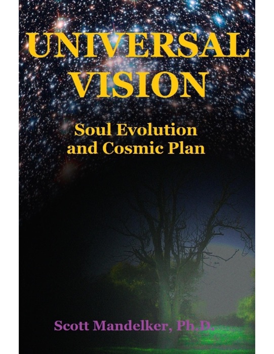 Universal Vision: Soul Evolution and Cosmic Plan