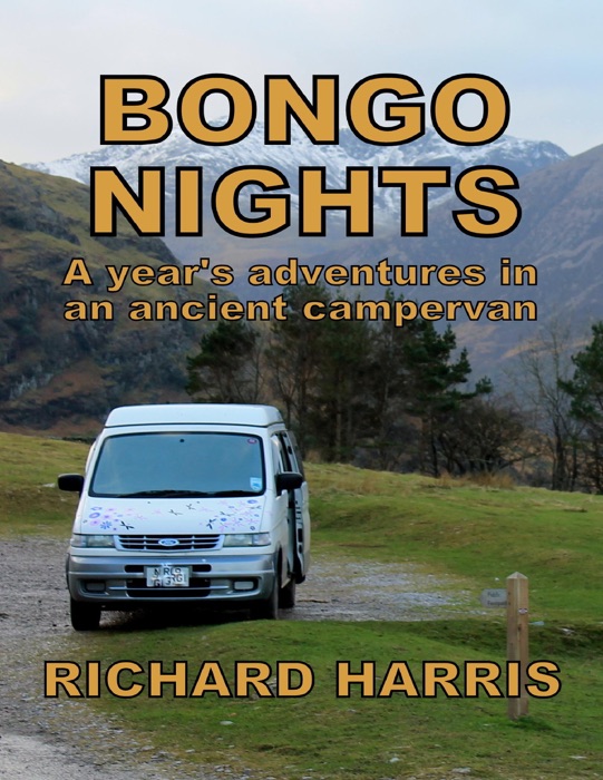 Bongo Nights
