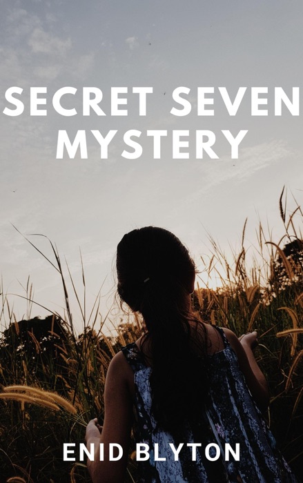 Secret Seven Mystery