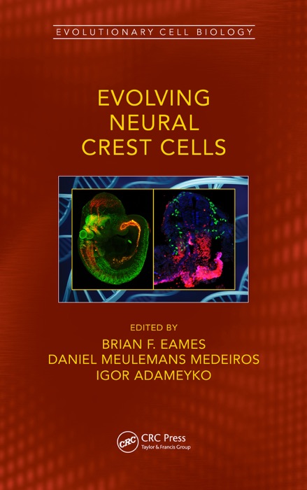 Evolving Neural Crest Cells