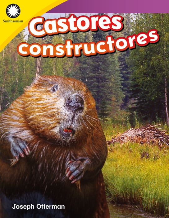 Castores constructores