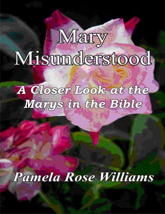 Mary Misunderstood: A Closer Look at the Marys in the Bible