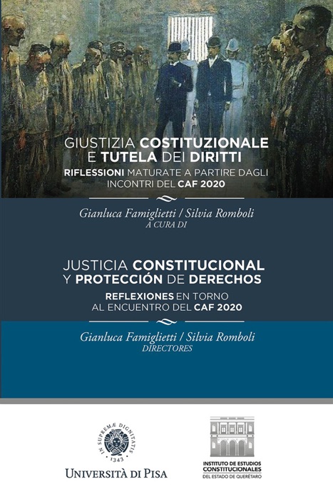 Justicia constitucional y protección de derechos
