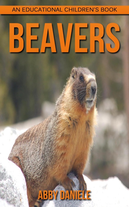 Beavers! An Educational Children's Book about Beavers with Fun Facts & Photos