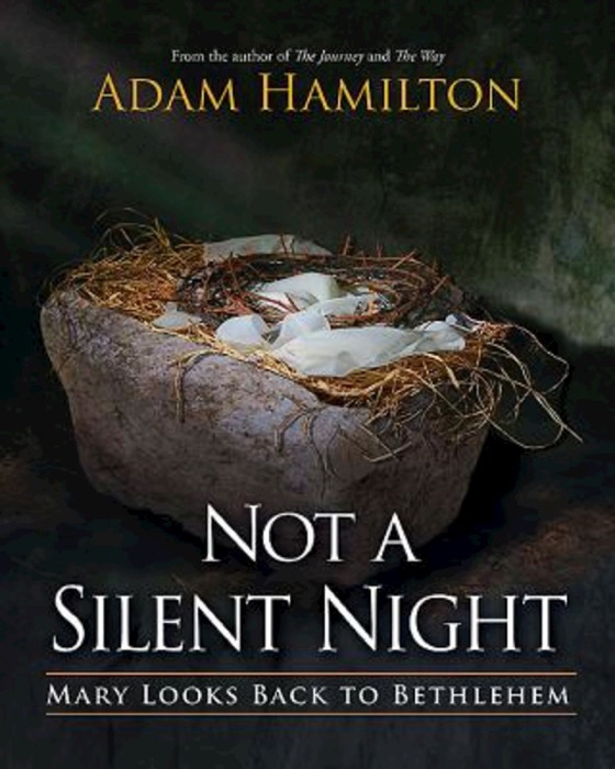 Not a Silent Night