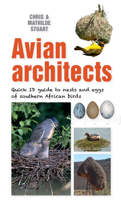 Quick ID Guide – Avian Architects