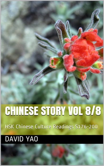 Chinese Story 中国故事 Volume 8 - Story 176-200 V2020