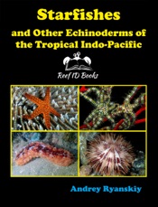 Starfishes And Other Echinoderms of the Tropical Indo-Pacific