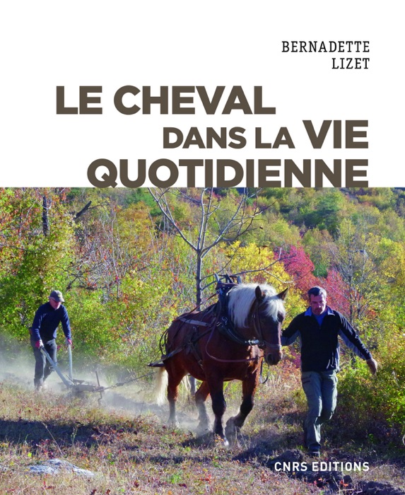 Le cheval dans la vie quotidienne