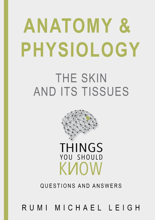 Anatomy and Physiology: The Skin and Its Tissues