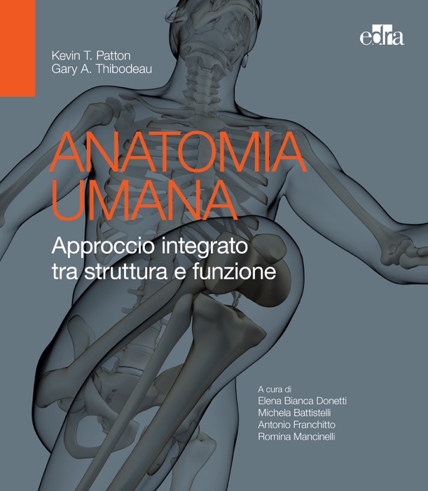 Anatomia umana