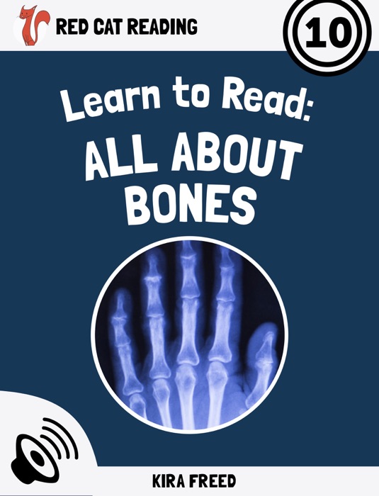 Learn to Read: All About Bones