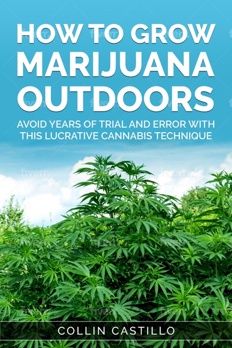 How To Grow Marijuana Outdoors Avoid Years of Trial and Error With This Lucrative Cannabis Technique