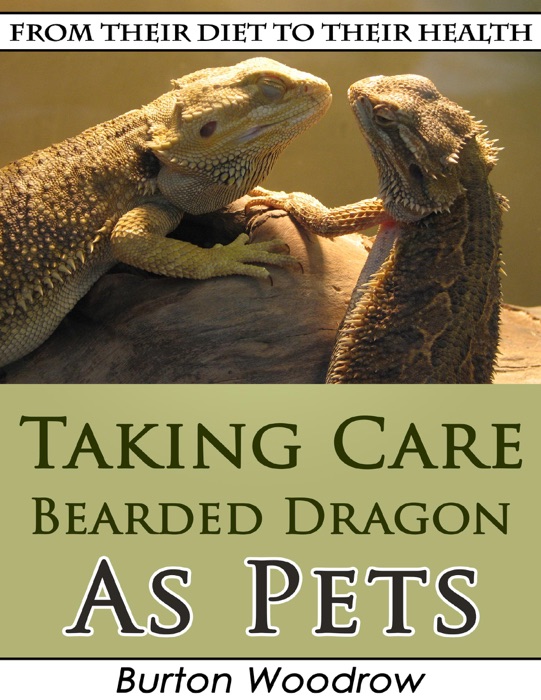 Taking Care Bearded Dragon As Pets: From Their Diet to Their Health
