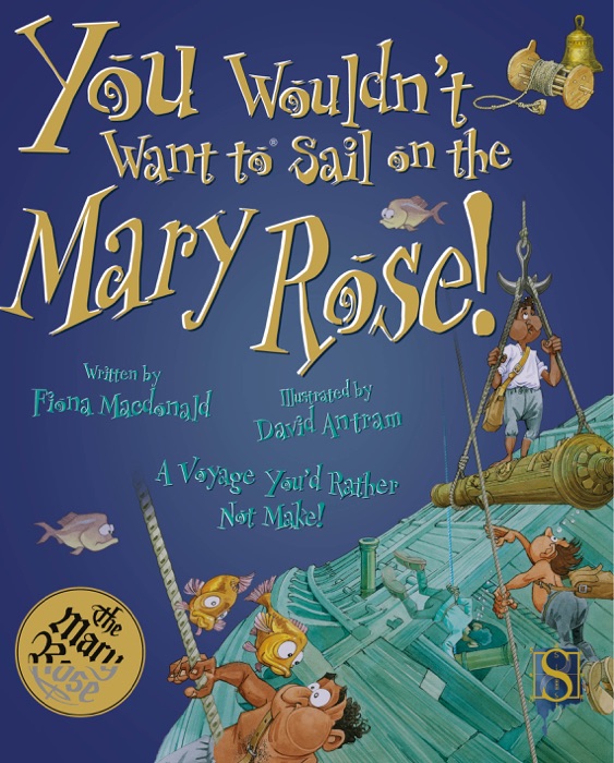 You Wouldn't Want to Sail on the Mary Rose!