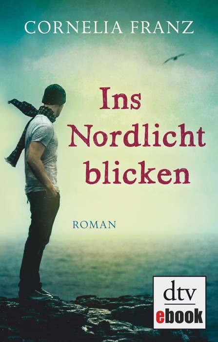 Ins Nordlicht blicken