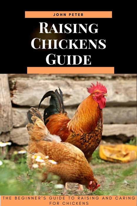 Raising Chickens Guide; The Beginner’s Guide to Raising and Caring for Chickens