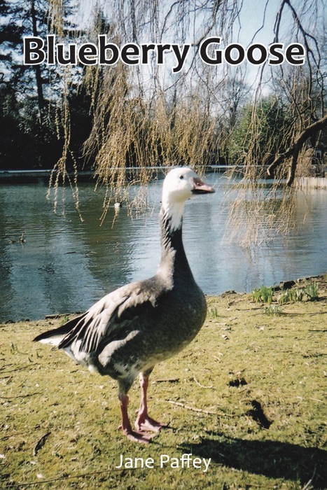 Blueberry Goose