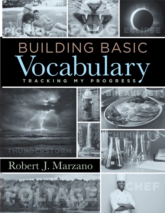 Building Basic Vocabulary