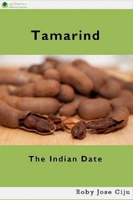 Tamarind, the Indian Date