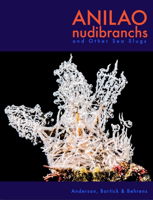 Anilao Nudibranchs 2016