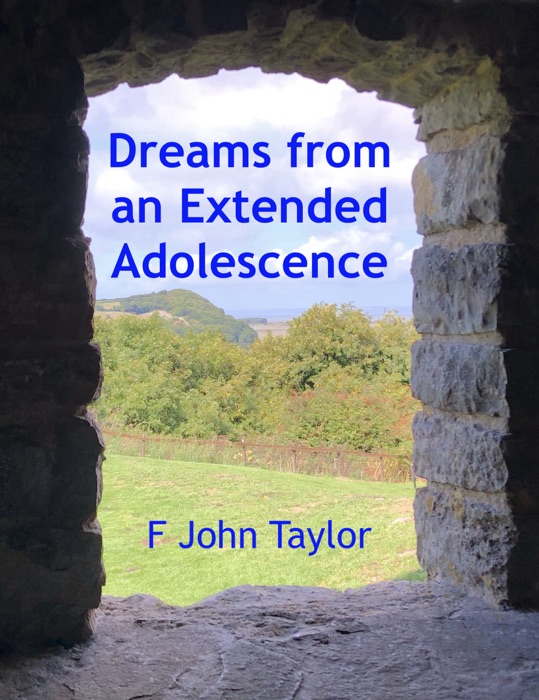 Dreams from an Extended Adolescence