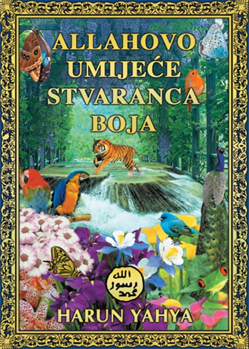 ALLAHOVO UMIJEĆE STVARANJA BOJA