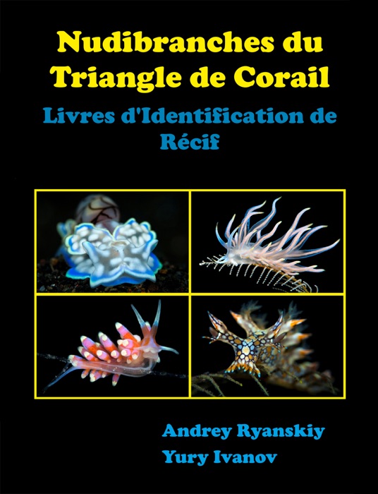 Nudibranches du Triangle de Corail