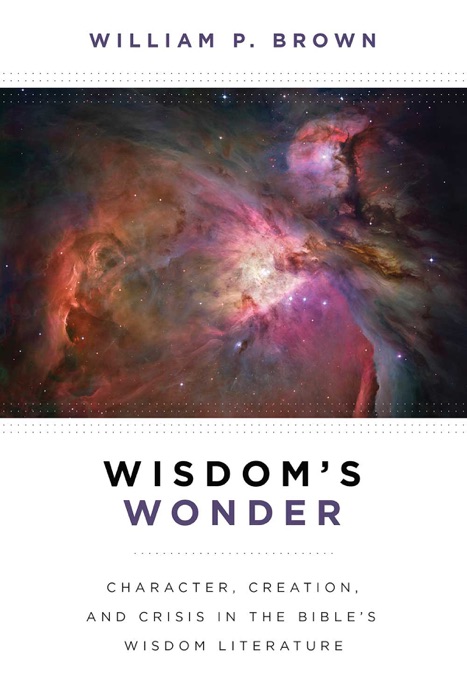 Wisdom's Wonder