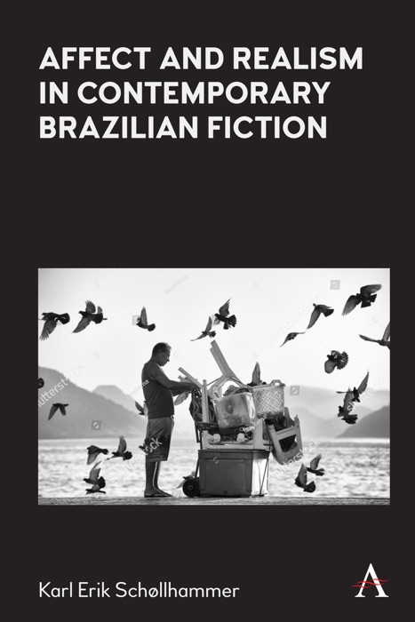 Affect and Realism in Contemporary Brazilian Fiction