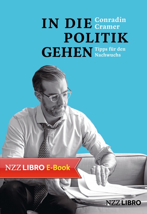 In die Politik gehen