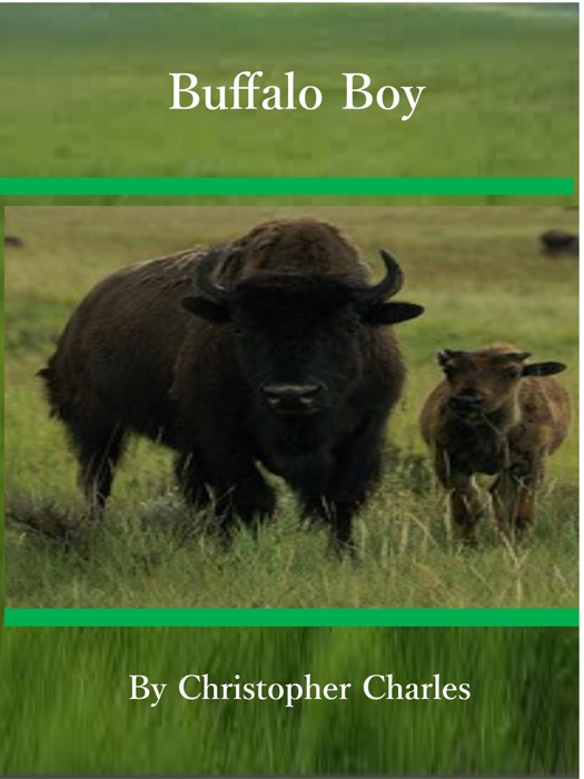 Buffalo Boy