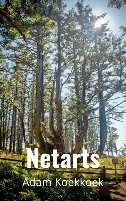 Netarts