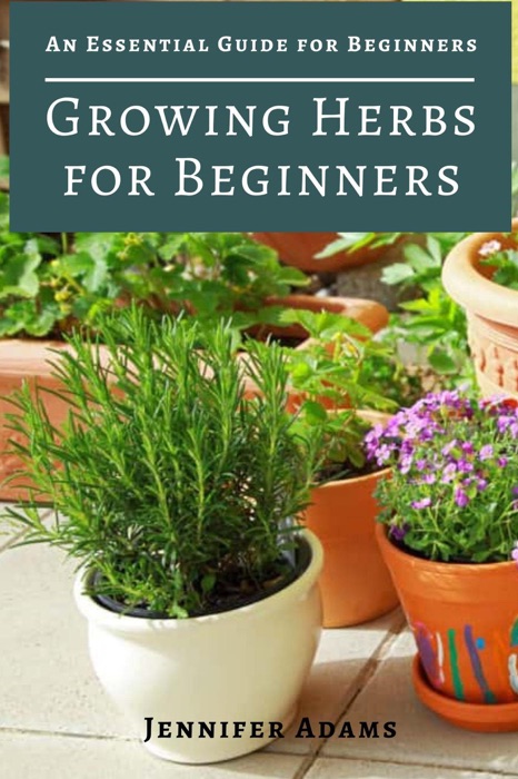 Growing Herbs for Beginners; An Essential Guide for Beginners