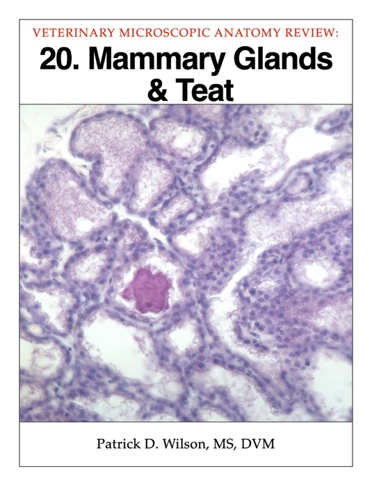 Mammary Glands