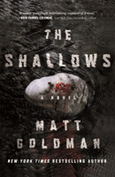 Matt Goldman - The Shallows artwork