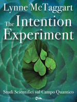 Lynne McTaggart - The Intention Experiment artwork