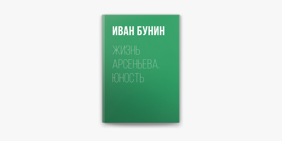 Книга: Жизнь Арсеньева. Юность