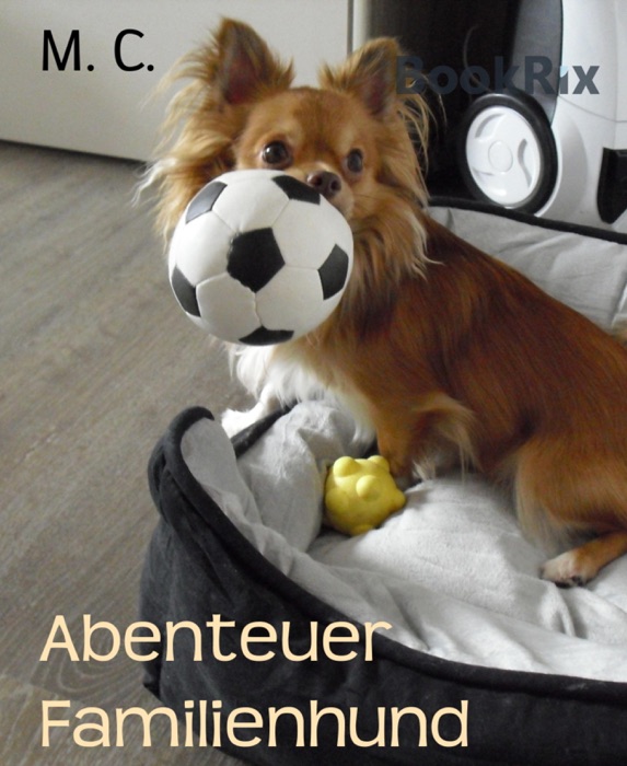 Abenteuer Familienhund
