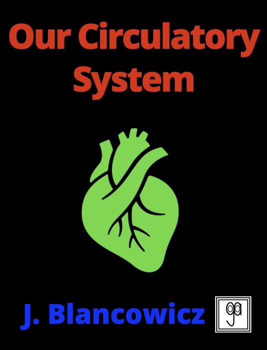 Our Circulatory System