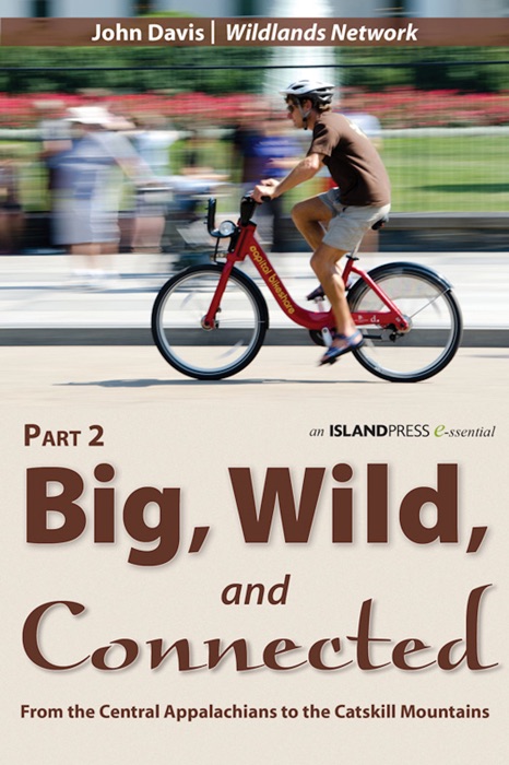 Big, Wild, and Connected: Part 2