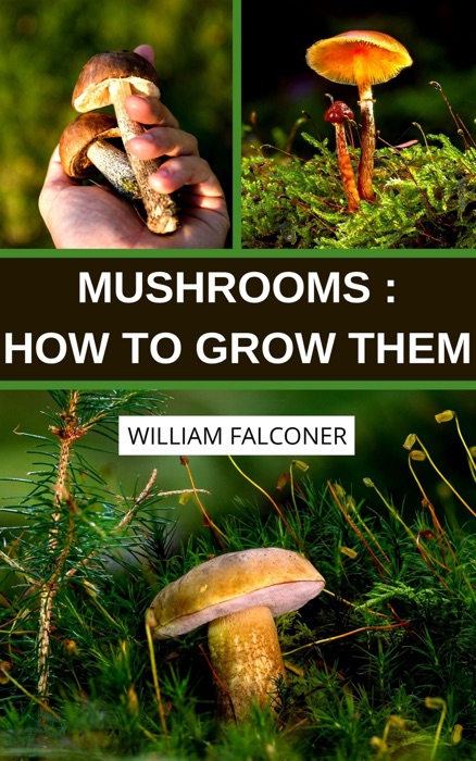 Mushrooms : How To Grow Them