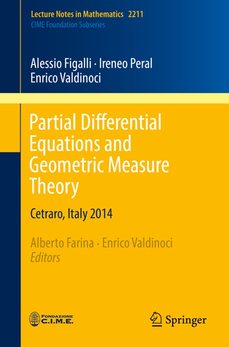 Partial Differential Equations and Geometric Measure Theory