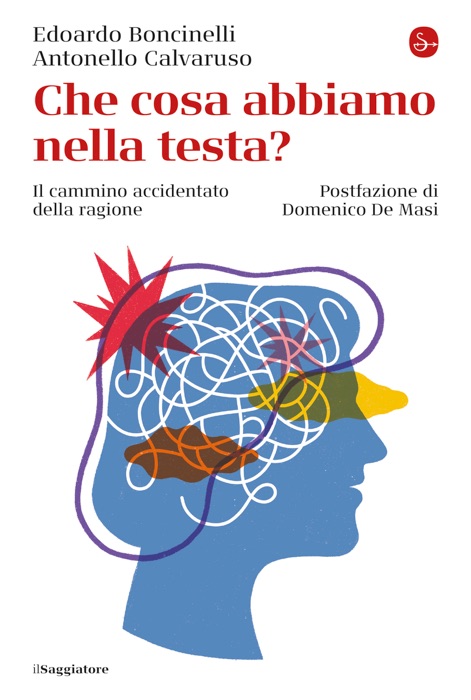Che cosa abbiamo nella testa?
