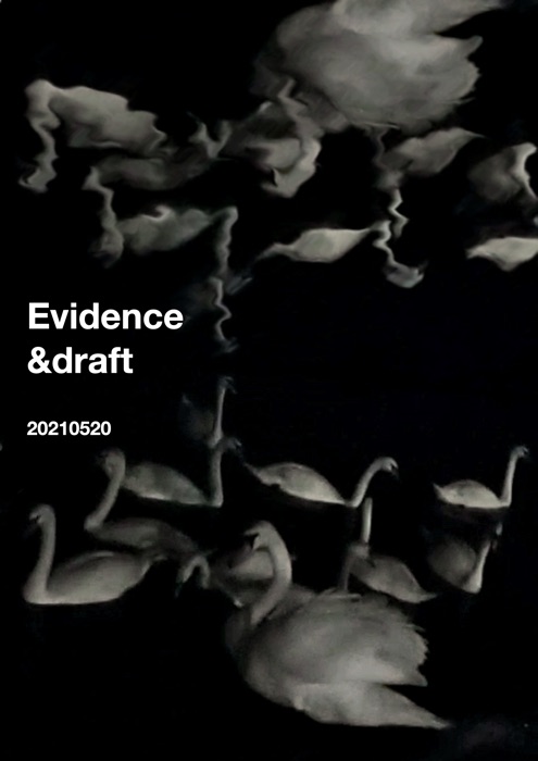 Evidence &draft 20210520