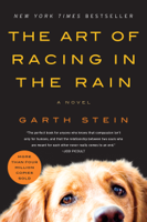 Garth Stein - The Art of Racing In the Rain artwork
