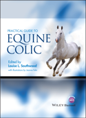 Practical Guide to Equine Colic - Louise L. Southwood & Joanne Fehr