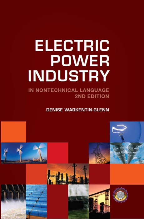 Electric Power Industry in Nontechnical Language