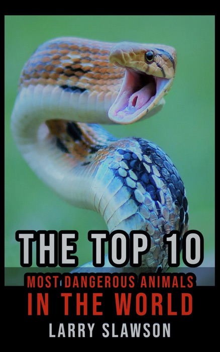 The Top 10 Most Dangerous Animals in the World